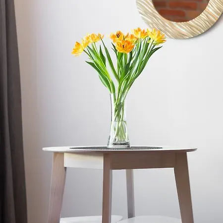 Apartament Montevideo